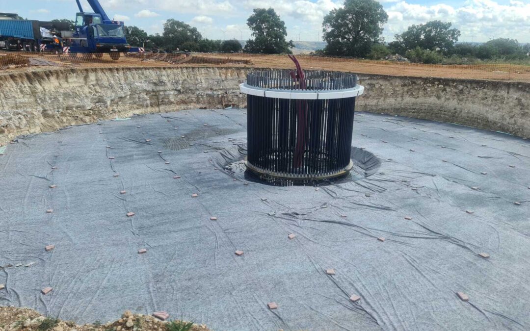 Jaula pernos PE Becerril, Palencia